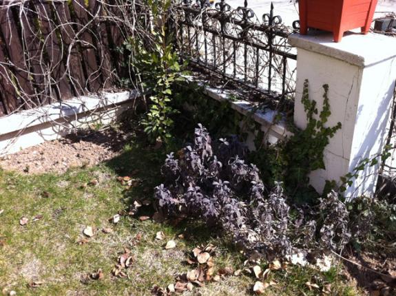 Name:  IMG_0236.jpg
Views: 1347
Size:  72.8 KB