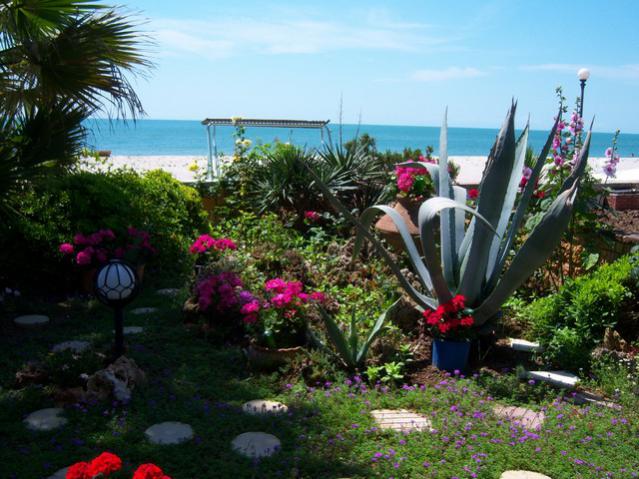 Name:  100_0954.jpg
Views: 1724
Size:  60.6 KB