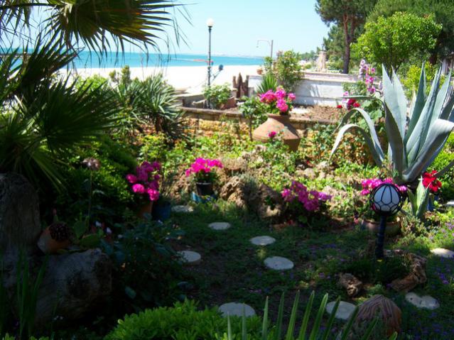 Name:  100_0956.jpg
Views: 1692
Size:  68.8 KB