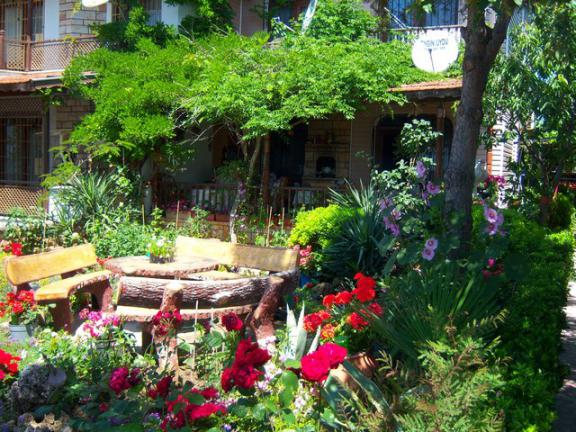 Name:  100_0967.jpg
Views: 1688
Size:  72.1 KB