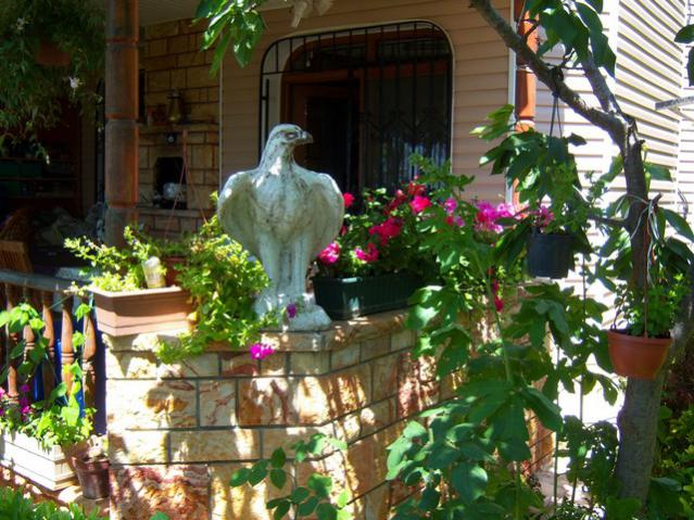 Name:  100_0969.jpg
Views: 1702
Size:  69.2 KB