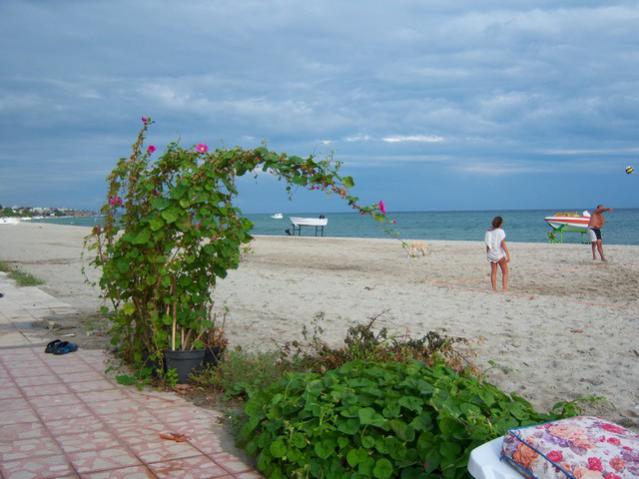 Name:  100_1002.jpg
Views: 1677
Size:  44.5 KB