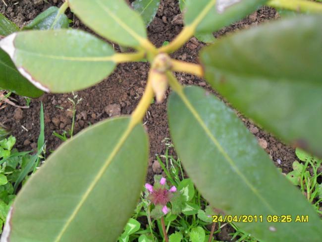 Name:  025.jpg
Views: 593
Size:  44.2 KB