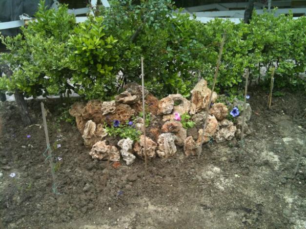 Name:  IMG_0963.jpg
Views: 1473
Size:  71.3 KB