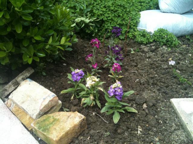 Name:  IMG_0967.jpg
Views: 1478
Size:  62.7 KB