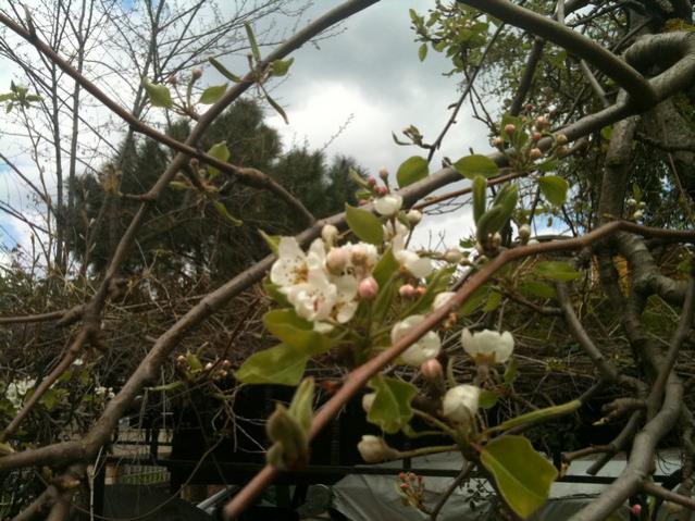 Name:  IMG_0973.jpg
Views: 1425
Size:  64.1 KB
