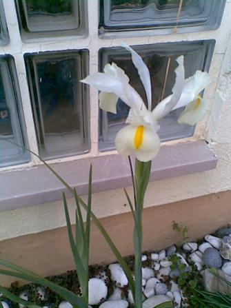 Name:  18.jpg
Views: 1148
Size:  25.5 KB