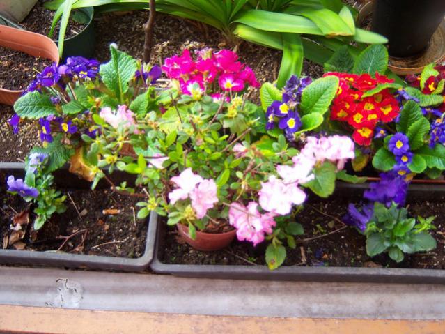 Name:  100_1173.jpg
Views: 1295
Size:  68.0 KB