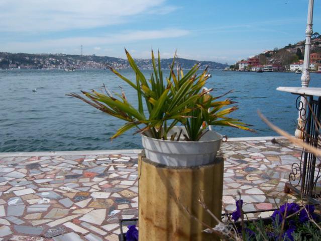 Name:  100_1179.jpg
Views: 1348
Size:  52.3 KB