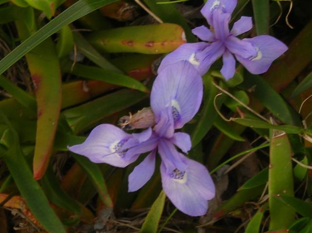 Name:  DSCN4960.jpg
Views: 524
Size:  35.5 KB