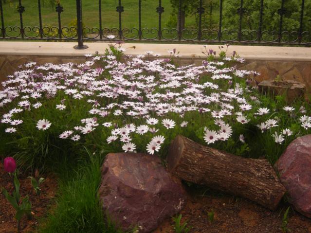 Name:  DSCN5005.jpg
Views: 779
Size:  62.6 KB