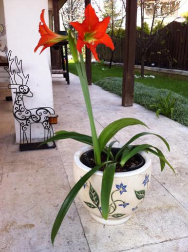 Name:  IMG_0396.jpg
Views: 1177
Size:  38.1 KB
