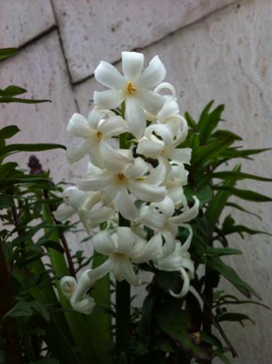 Name:  IMG_0429.jpg
Views: 997
Size:  27.9 KB