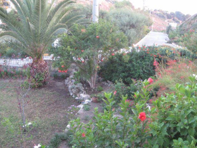 Name:  IMG_3685.jpg
Views: 1016
Size:  62.3 KB