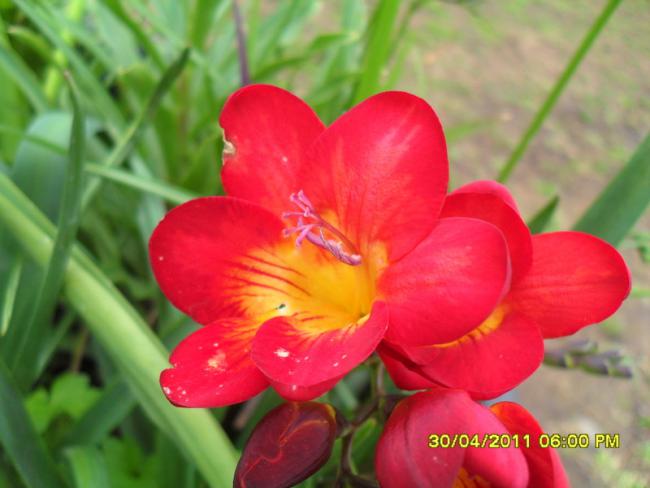 Name:  018.jpg
Views: 589
Size:  36.7 KB