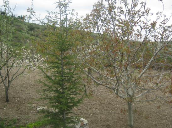 Name:  genel 1.jpg
Views: 923
Size:  54.8 KB