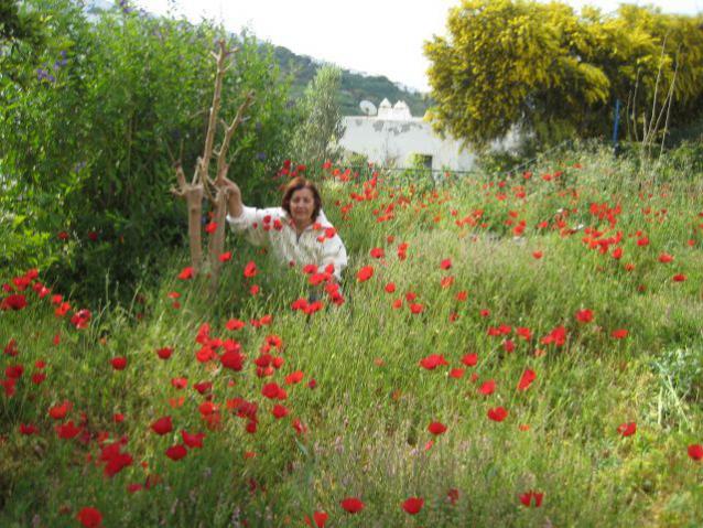 Name:  IMG_5410.jpg
Views: 1121
Size:  69.4 KB