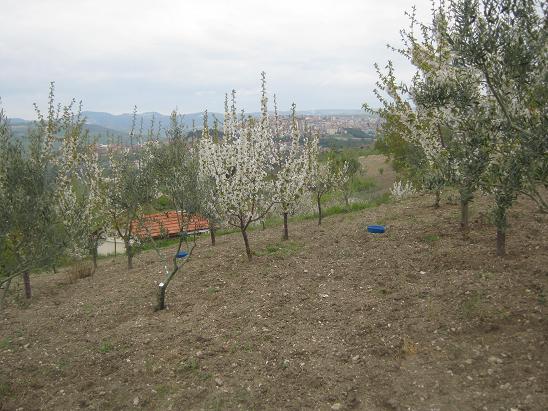 Name:  genel 3.JPG
Views: 1001
Size:  67.8 KB