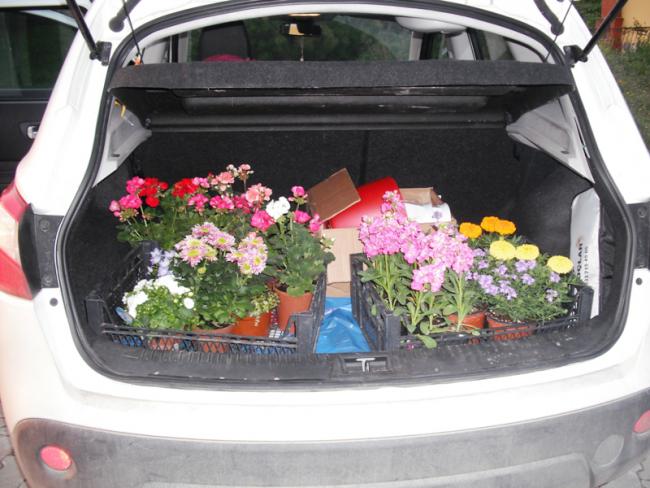 Name:  DSCF2002.jpg
Views: 737
Size:  52.7 KB