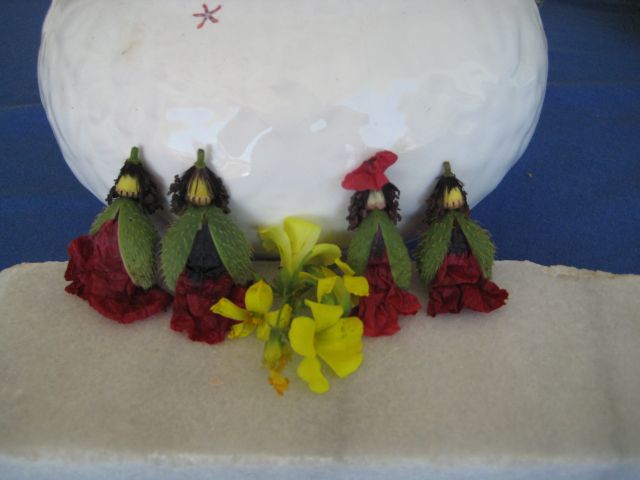 Name:  IMG_5958.JPG
Views: 1156
Size:  38.0 KB