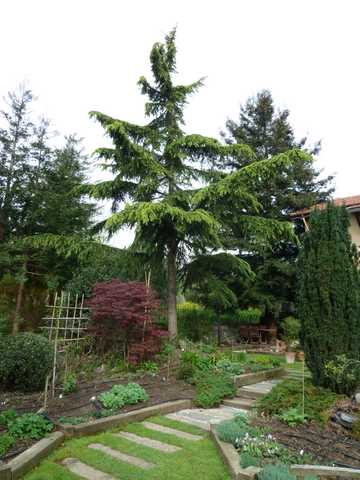 Name:  Bahe 03 Mays 2010 009.JPG
Views: 1099
Size:  38.3 KB