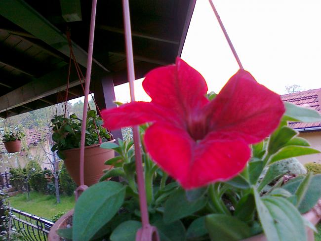 Name:  30042011701.jpg
Views: 1148
Size:  44.0 KB