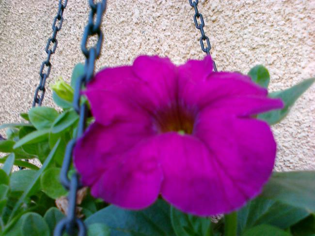 Name:  30042011703.jpg
Views: 1135
Size:  49.0 KB