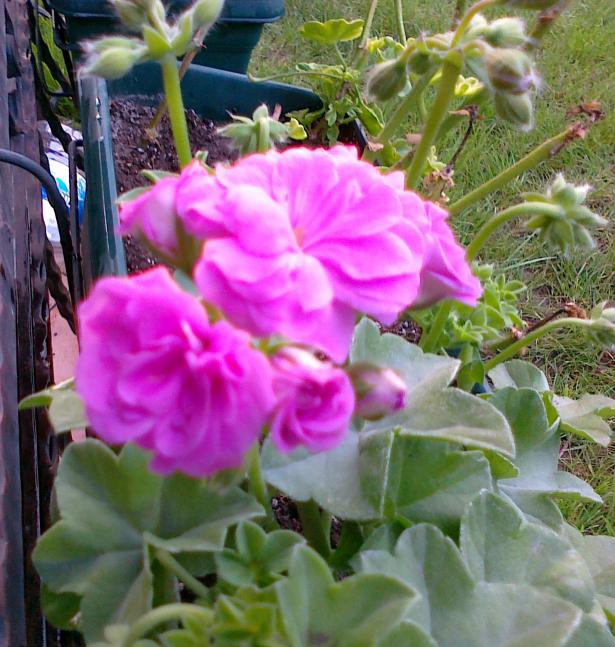 Name:  30042011691.jpg
Views: 1120
Size:  71.1 KB