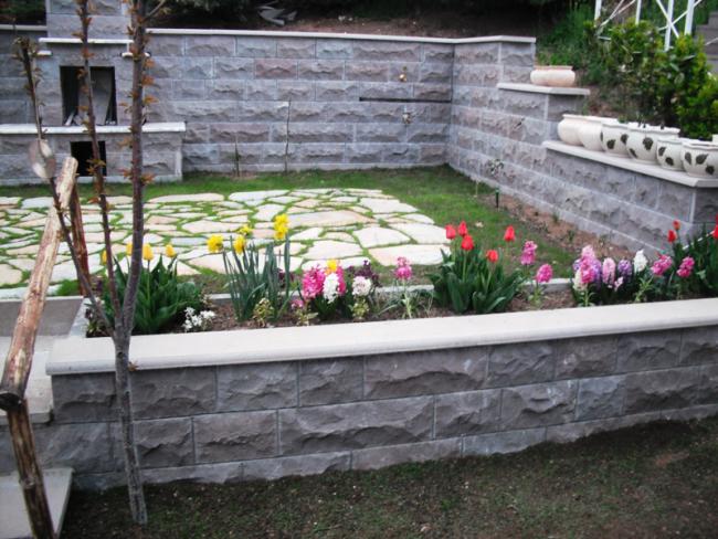 Name:  DSCF2011.jpg
Views: 928
Size:  62.4 KB