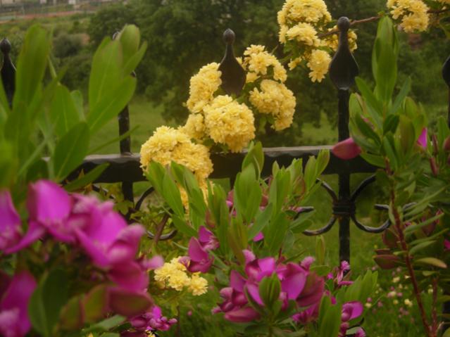 Name:  DSCN5094.jpg
Views: 734
Size:  44.5 KB