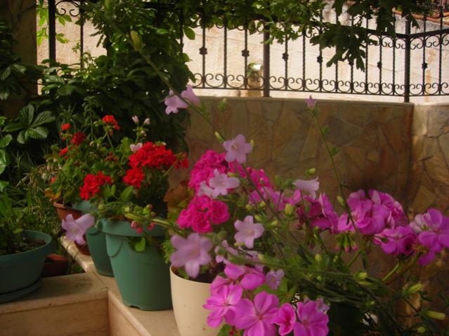 Name:  DSCN5112.jpg
Views: 743
Size:  55.2 KB