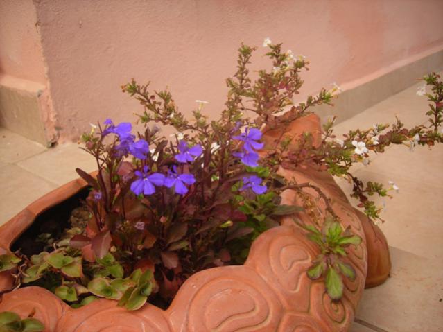 Name:  DSCN5124.jpg
Views: 685
Size:  43.0 KB