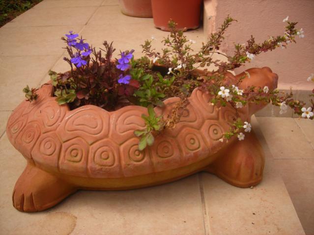Name:  DSCN5125.jpg
Views: 693
Size:  41.0 KB