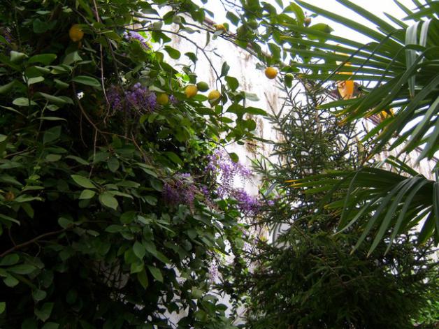 Name:  100_1240.jpg
Views: 892
Size:  72.0 KB