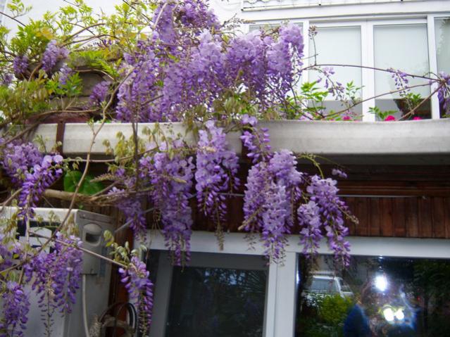 Name:  100_1244.jpg
Views: 1062
Size:  64.2 KB