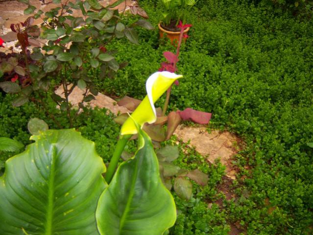 Name:  100_1248.jpg
Views: 1029
Size:  64.2 KB