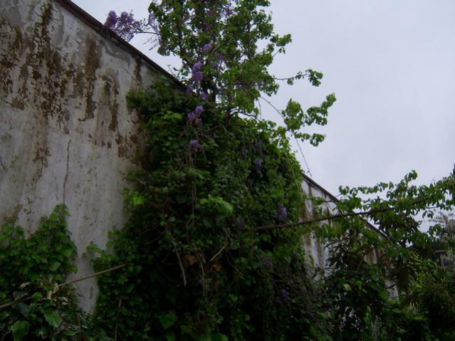 Name:  100_1253.jpg
Views: 916
Size:  52.1 KB