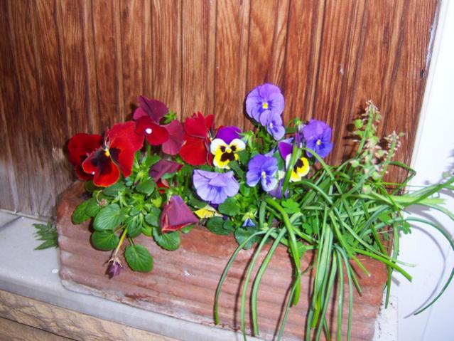 Name:  100_1257.jpg
Views: 911
Size:  59.7 KB