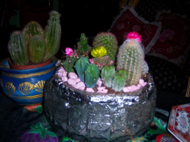 Name:  100_1259.jpg
Views: 1180
Size:  41.9 KB
