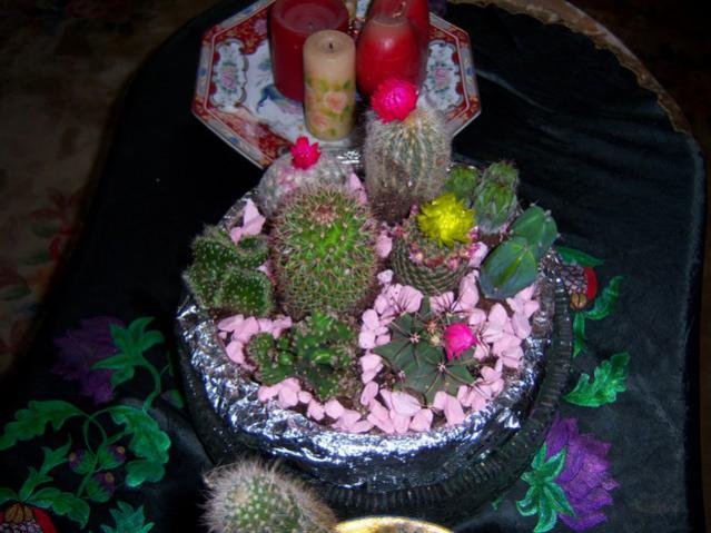 Name:  100_1260.jpg
Views: 847
Size:  49.7 KB