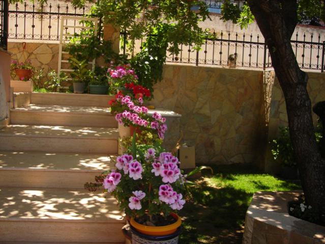 Name:  DSCN5140.jpg
Views: 650
Size:  59.3 KB