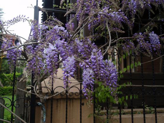 Name:  3.jpg
Views: 1262
Size:  51.2 KB