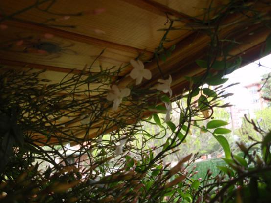 Name:  10.jpg
Views: 1246
Size:  41.7 KB