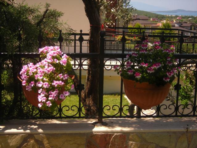 Name:  DSCN5133.jpg
Views: 657
Size:  61.0 KB