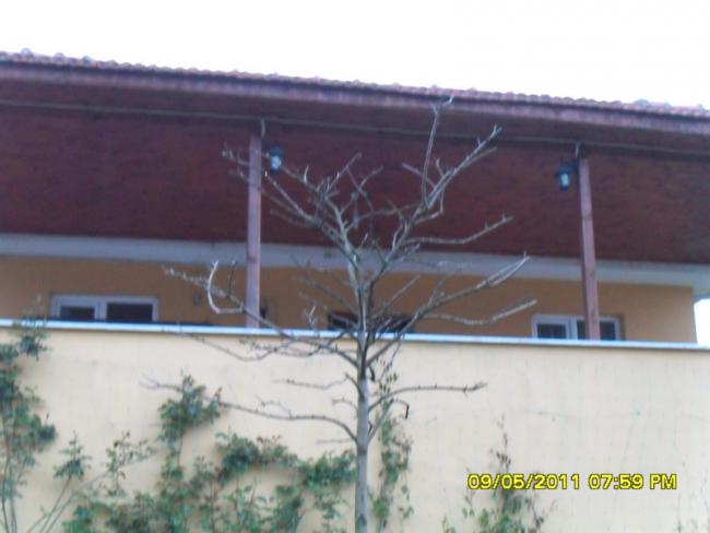 Name:  010.jpg
Views: 585
Size:  31.4 KB