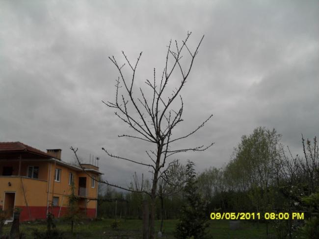 Name:  012.jpg
Views: 582
Size:  32.7 KB