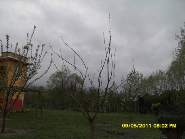 Name:  018.jpg
Views: 586
Size:  37.5 KB