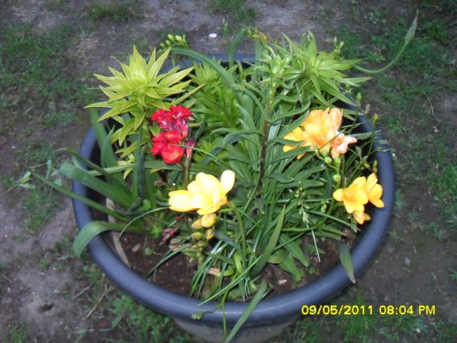 Name:  022.jpg
Views: 576
Size:  61.0 KB