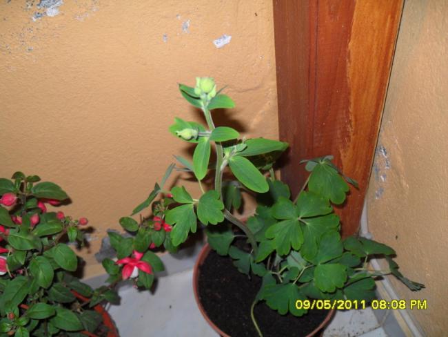Name:  031.jpg
Views: 600
Size:  42.7 KB