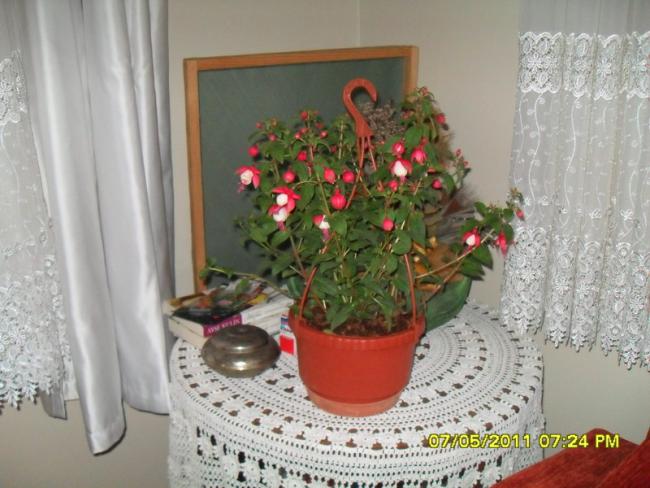 Name:  011.jpg
Views: 584
Size:  49.3 KB